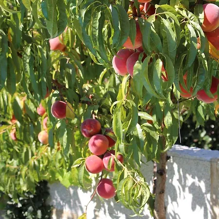 Casa De Vale Benfeito - *