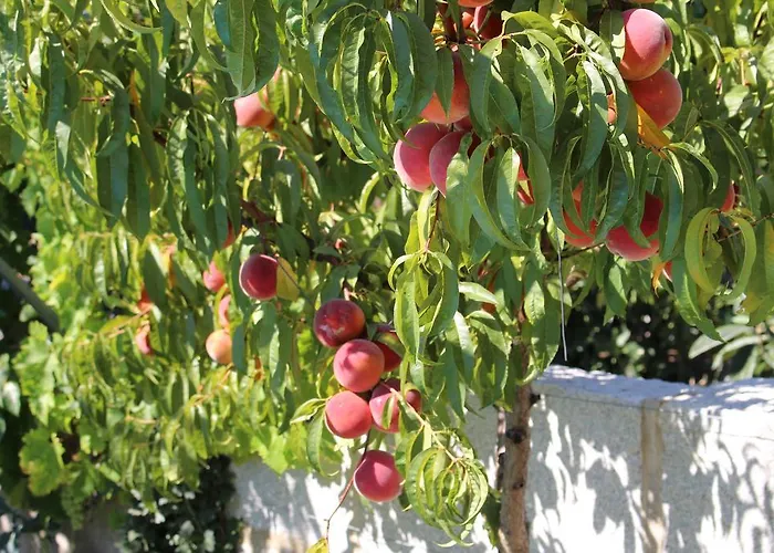 Casa De Vale Benfeito - *